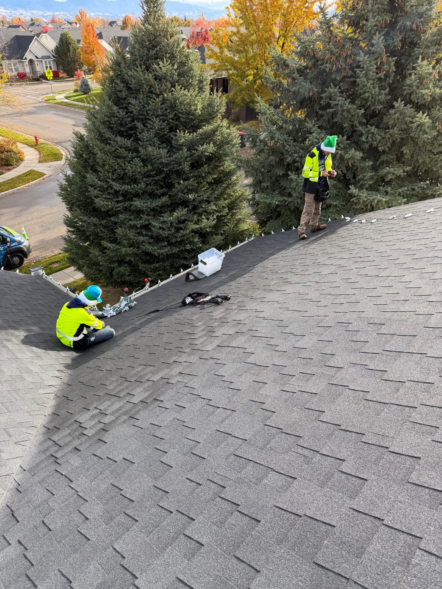 Our crew installing Christmas lights along a roofline beside evergreen trees on a Treasure Valley home