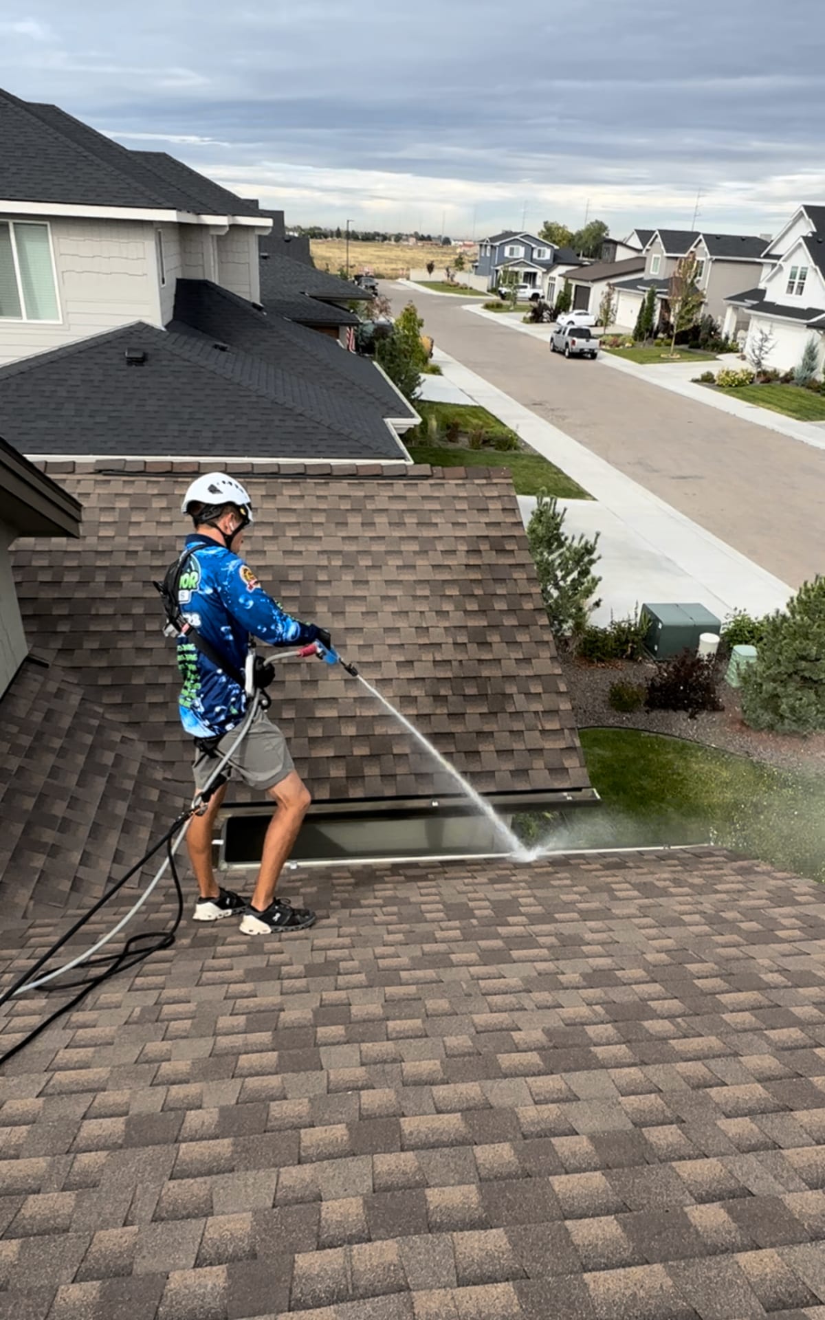 Gutter Cleaning